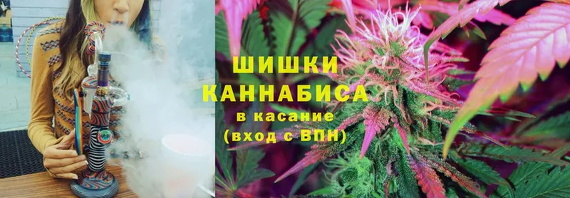 Конопля SATIVA & INDICA  купить закладку  Заинск 